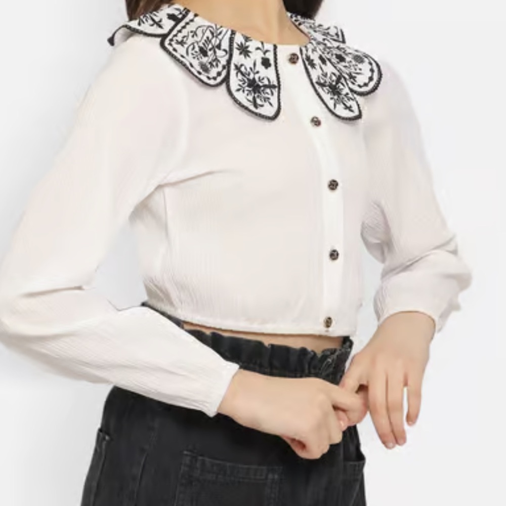 Zara Embroidered Puff Sleeve Top